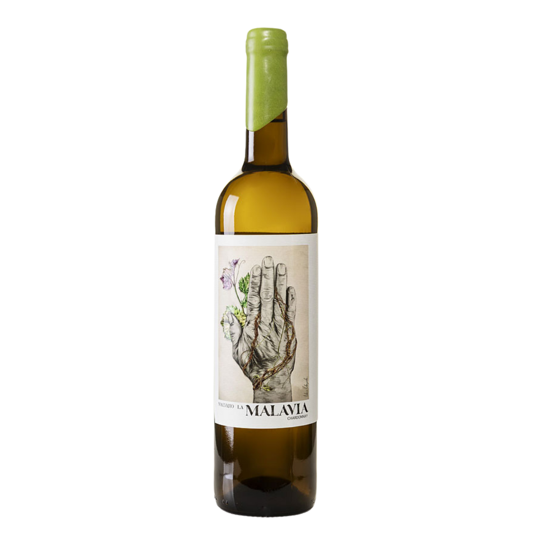 Malavia · Bodega Malvajío